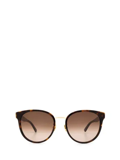 Bottega Veneta Sunglasses In Brown