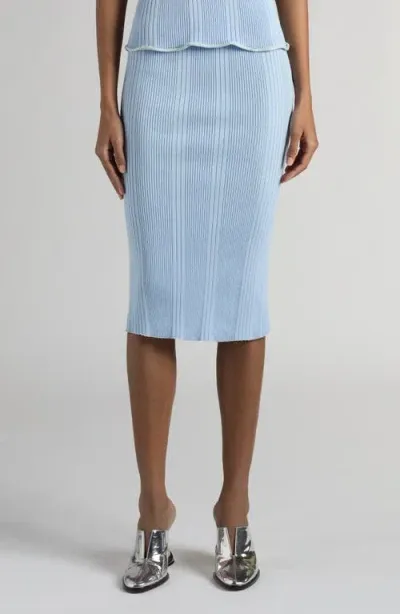 Bottega Veneta Variegated Rib Pencil Skirt In Bubble