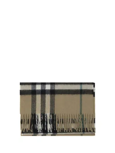 Burberry Cashmere Scarves In Linden