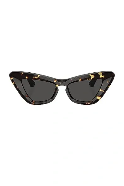 Burberry Beveled Acetate & Plastic Cat-eye Sunglasses In Dark Havana