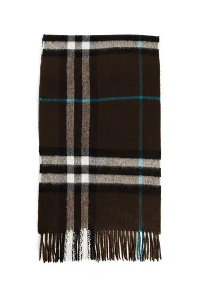 Burberry Man Brown Scarves