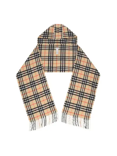 Burberry Scarfs In Brown