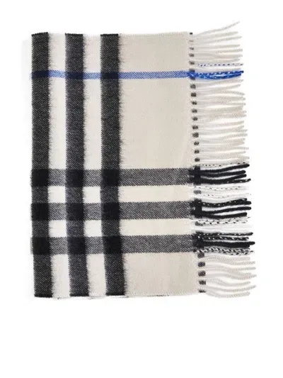 Burberry Scarfs In Lichen