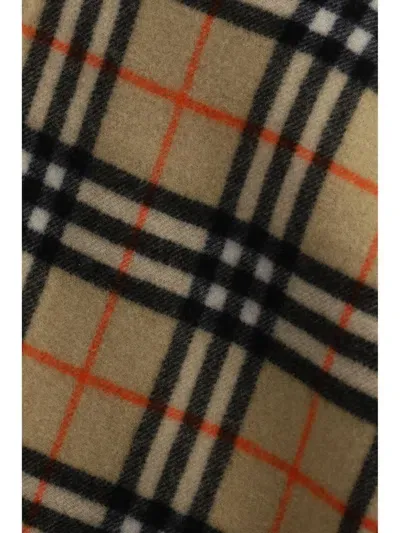 Burberry Scarves In Brown