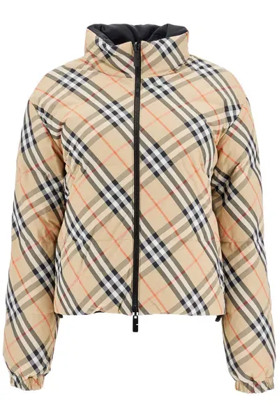 Burberry Short Reversible Down Jacket In Black