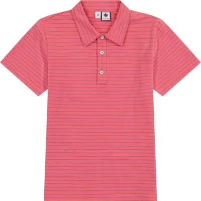 Busy Bees Babies'  Short Sleeve Polo In Red Mini Navy Stripe