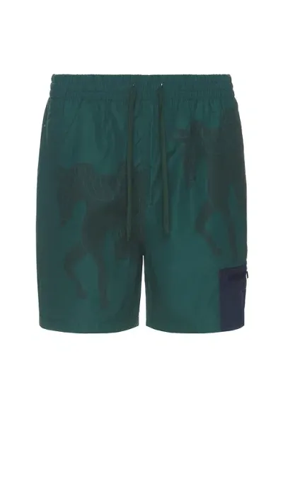 By Parra Short Horse Shorts In Pine Green