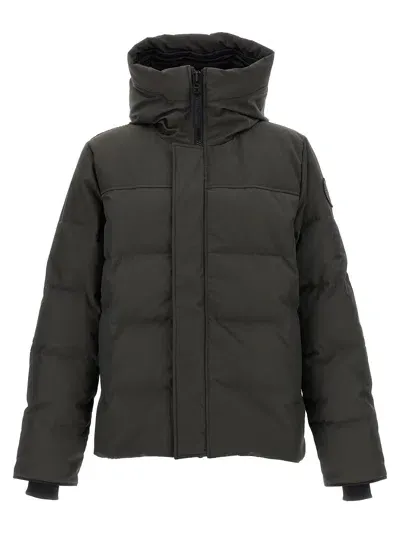 Canada Goose Padded Hooded Parka Long Sleeves In Black