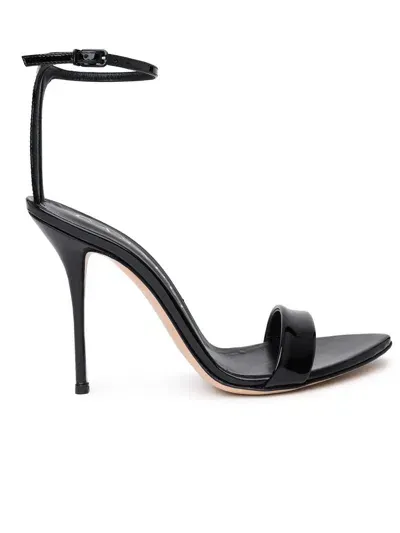 Casadei Scarlet In Black