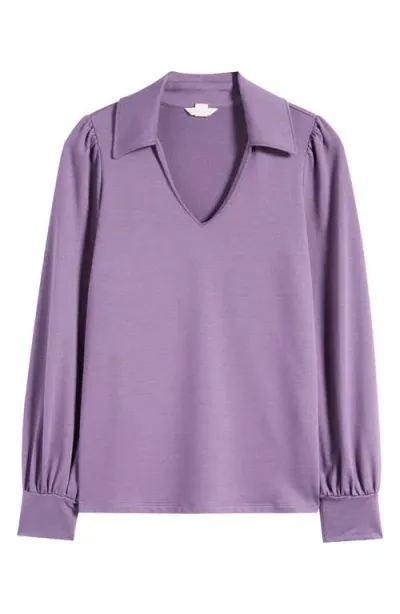 Caslonr Caslon(r) Long Sleeve Johnny Collar Polo In Purple Montana