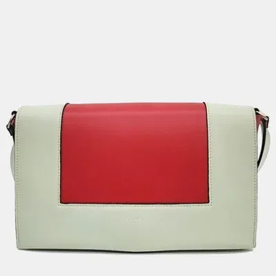 Pre-owned Celine Frame Bag Medium In Multicolor