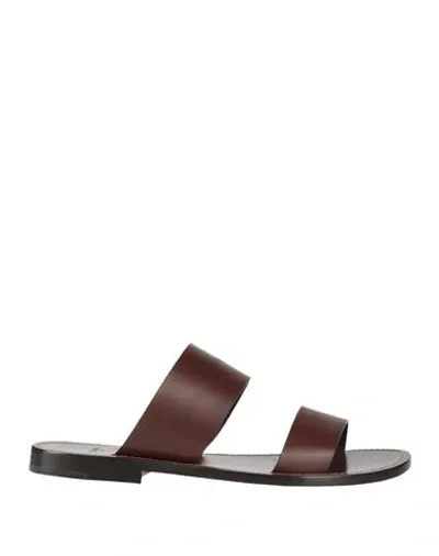 Celine Man Sandals Brown Size 9 Leather