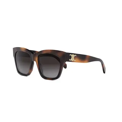 Celine Triomphe Square Acetate Sunglasses In Havana