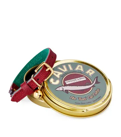 Cheshire & Wain Caviar Cat Collar In Burgundy