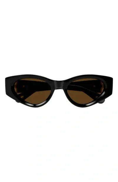 Chloé Ch0259s Cat Eye Acetate Sunglasses In Shiny Black