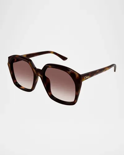 Chloé Acetate Round Sunglasses In Shiny Medium Havana