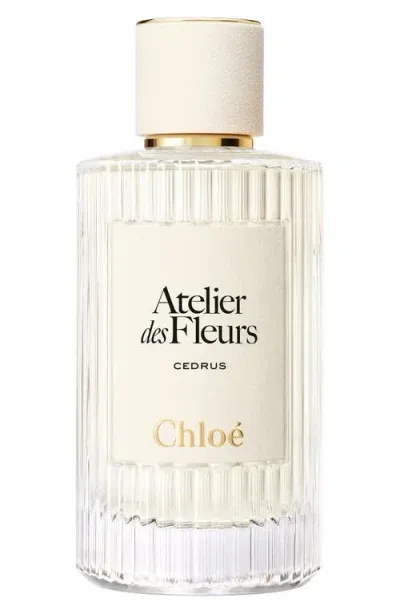 Chloé Atelier Des Fleurs Cedrus Eau De Parfum In White