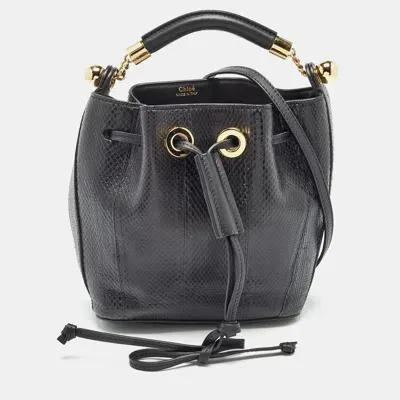 Pre-owned Chloé Black Snakeskin And Leather Gala Bucket Bag