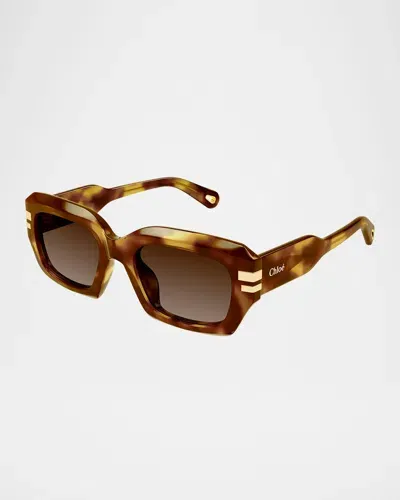 Chloé Ch0259s Rectangle Acetate Sunglasses In Multi