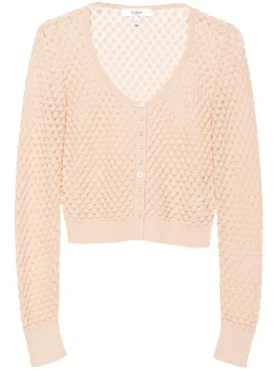 Chloé Cropped Pointelle-knit Cardigan In Beige