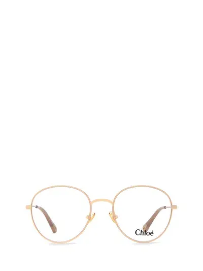 Chloé Eyeglasses In Beige