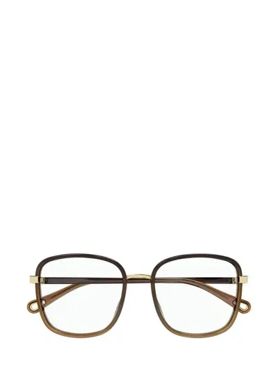 Chloé Eyeglasses In Black