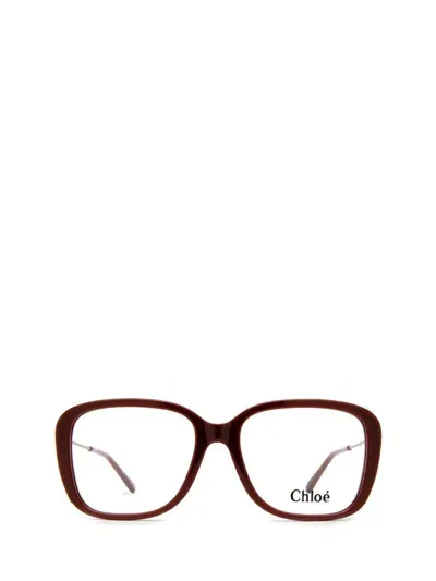 Chloé Eyeglasses In Brown