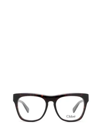 Chloé Eyeglasses In Brown