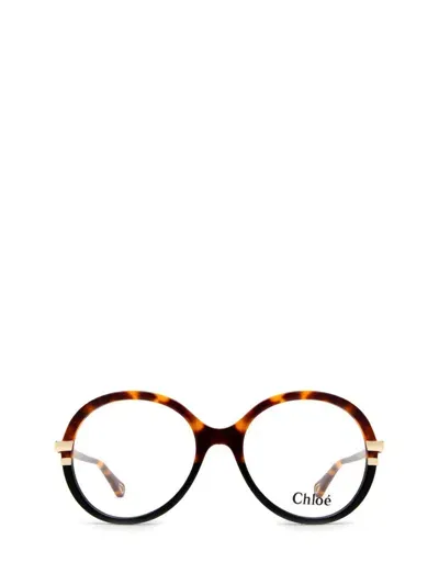 Chloé Eyeglasses In Brown