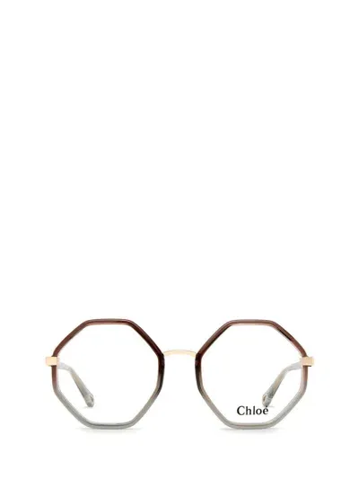 Chloé Eyeglasses In Brown