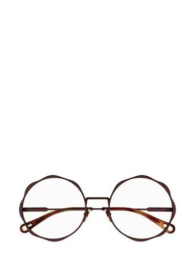 Chloé Eyeglasses In Brown