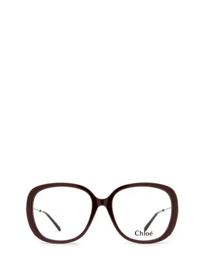 Chloé Eyeglasses In Brown