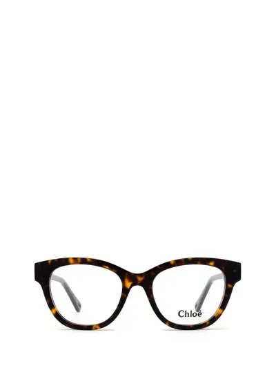 Chloé Eyeglasses In Brown