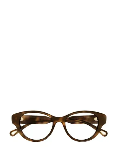 Chloé Eyeglasses In Brown