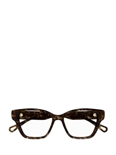 Chloé Eyeglasses In Brown