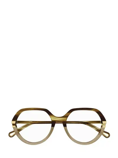 Chloé Eyeglasses In Brown