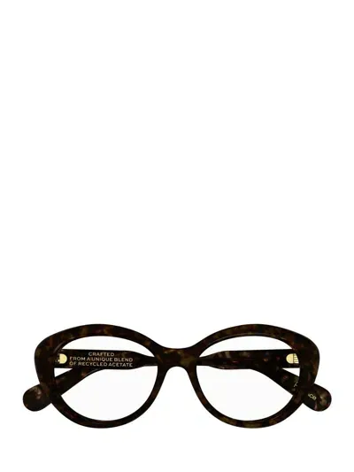 Chloé Eyeglasses In Brown