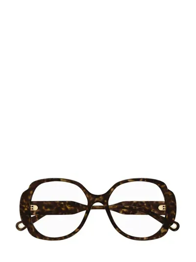 Chloé Eyeglasses In Brown