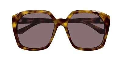 Chloé Eyewear Salome Oversized Frame Sunglasses In Multi