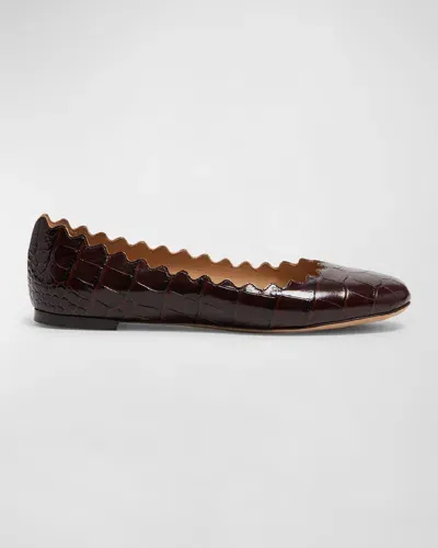 Chloé Lauren Scalloped Croco Ballerina Flats In Sharp Brown