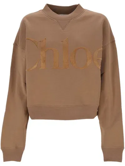 Chloé Oversized Cotton Fleece Sweater In Pink