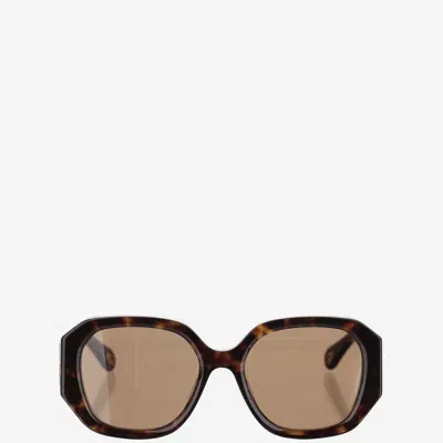 Chloé Chloè Logo Tortoiseshell Sunglasses In Brown