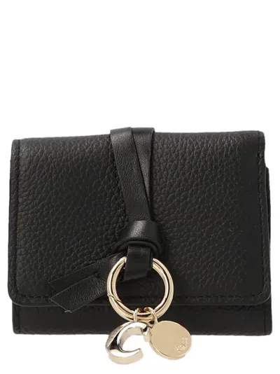 Chloé Mini Tri Fold Wallets, Card Holders In Black