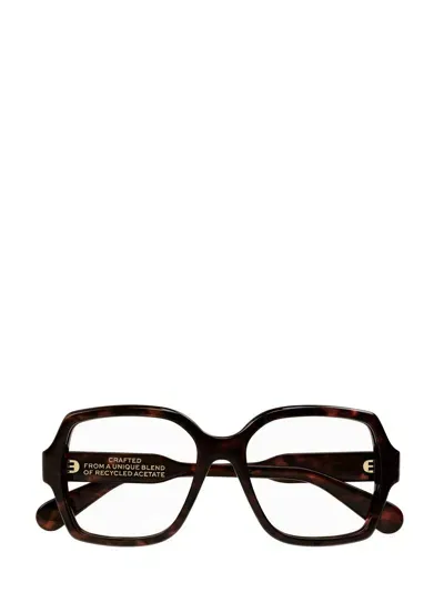 Chloé Rectangular Frame Glasses In 002 Havana Havana Transpa