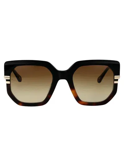 Chloé Chloe Sunglasses In Black