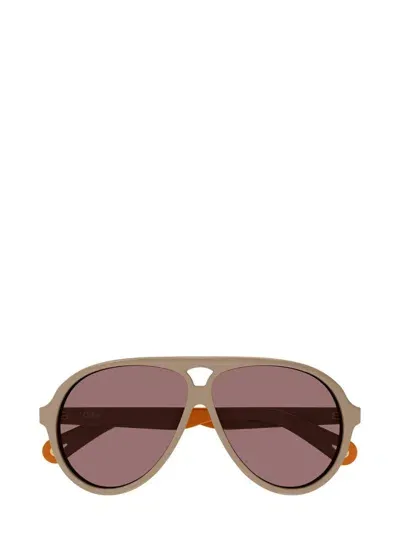 Chloé Sunglasses In Brown