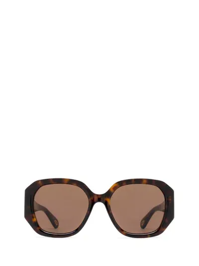 Chloé Sunglasses In Brown