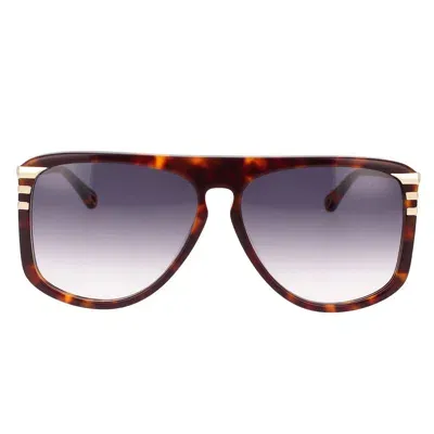 Chloé Sunglasses In Brown