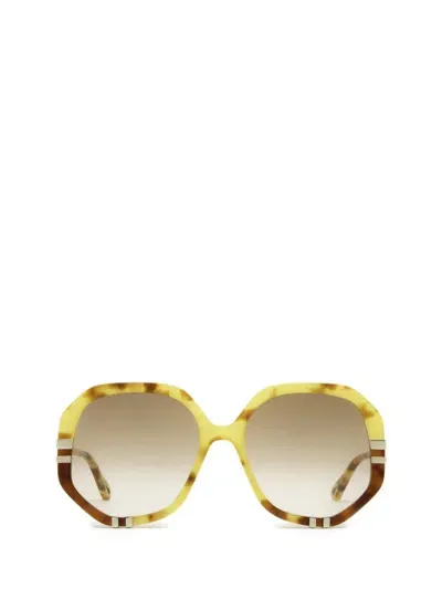 Chloé Sunglasses In Brown