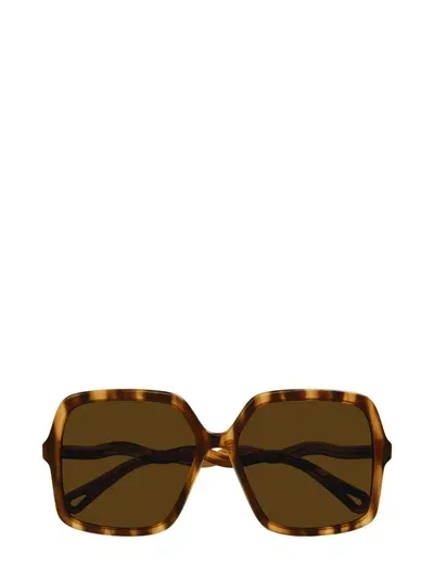 Chloé Eyewear Rectangular Frame Sunglasses In Multi